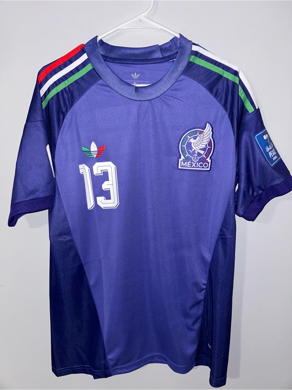 Mexico Away Men's Purple Goalkeeper Jersey #13 Ochoa